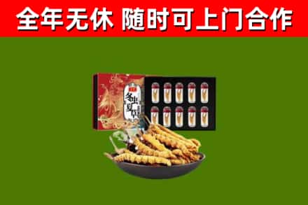 山阴回收冬虫夏草价格
