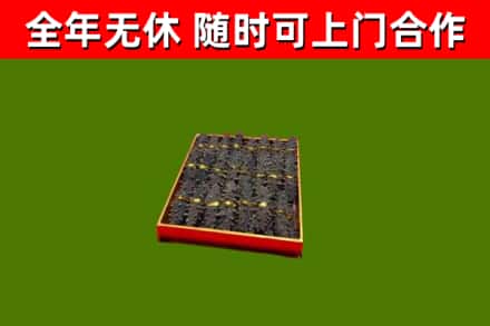 山阴回收海参